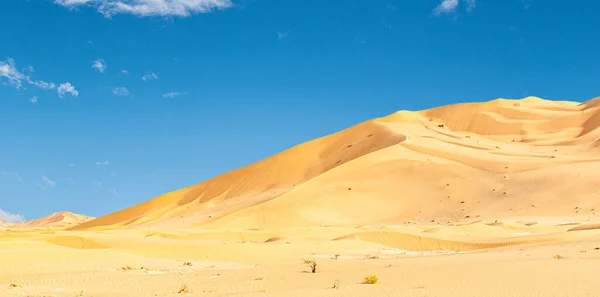 Jeep Safari Beautiful Omani Rub Chali Desert — Stock Photo, Image