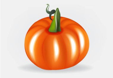 Kabak logo vektör tasarımı