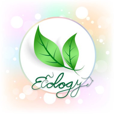 Bitki simgesi çerçeve vektör tasarım logo ekoloji yeşil yapraklar
