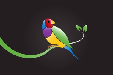 Finch bir dal yaprak güzel renkli kuş. Gouldian Finch Erythrura gouldiae simgesi logo vektör görüntü