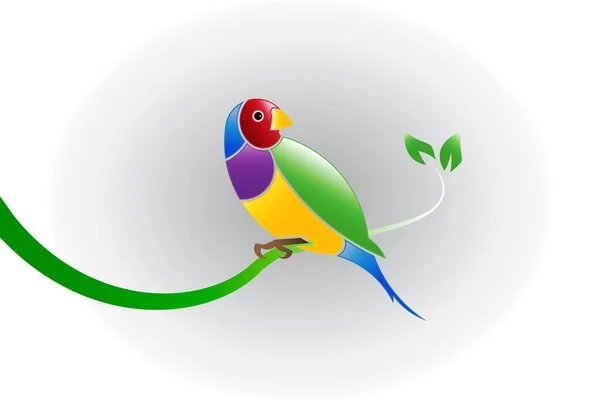 Pinzón Hermoso Pájaro Colorido Una Hoja Rama Gouldian Finch Erythrura — Vector de stock