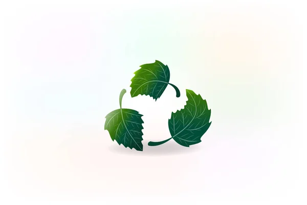 Ecologie Folioles Logo Vecteur Design — Image vectorielle