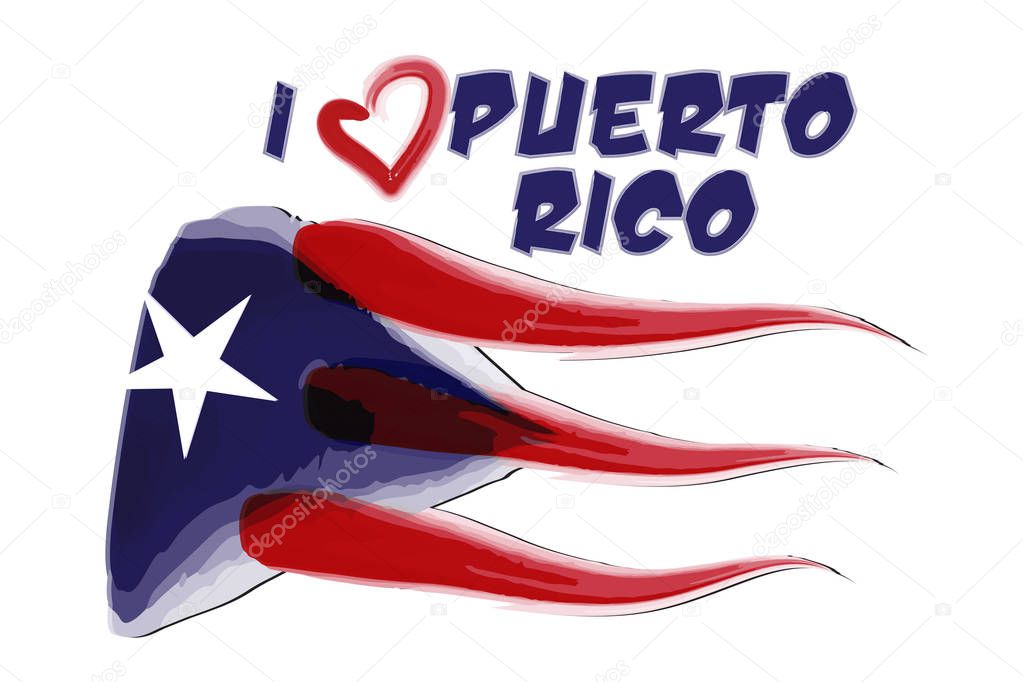 Puerto Rico flag icon vector image.