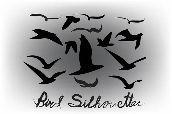 Kuşlar Siluetleri Vektör Simge Logo Görüntü Şablon Kümesi — Stok Vektör
