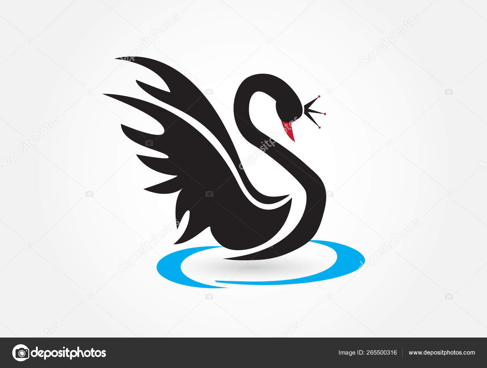 Черный лебедь талеб. Что символизирует лебедь. Лебедь логотип. Черный лебедь на белом фоне. Красивые лебеди.