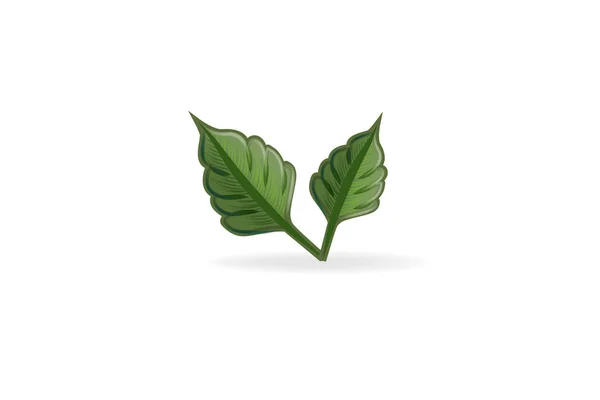 Leaf egészség természet logo vektor — Stock Vector