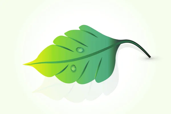 Leaf health nature logo vector — Stock Vector