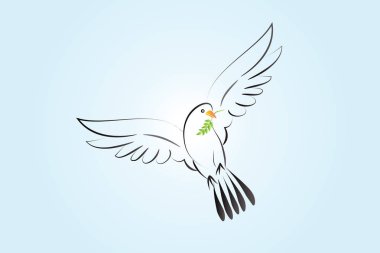 Güvercin kuş vektörü