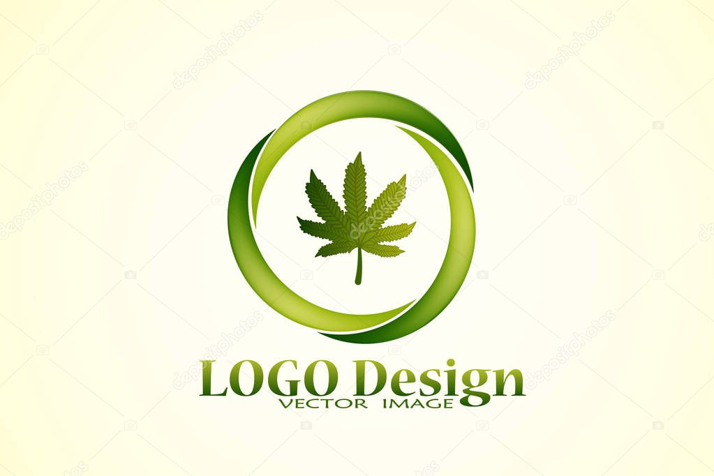 Marijuana cannabis leafs icon logo vector image design