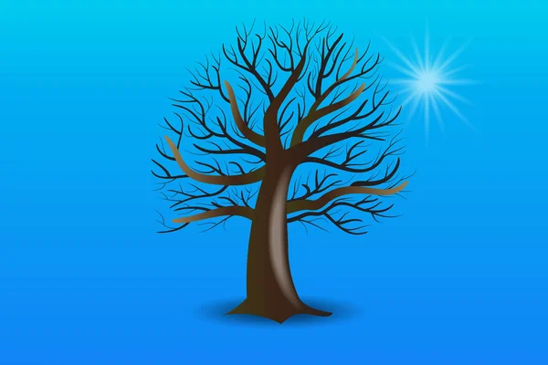 Arbre sans feuilles et logo solaire vecteur — Image vectorielle