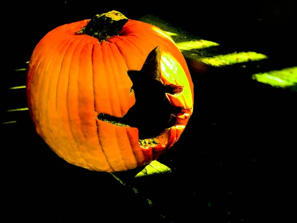 Halloween abóbora bruxa festa cartão fundo imagem — Fotografia de Stock