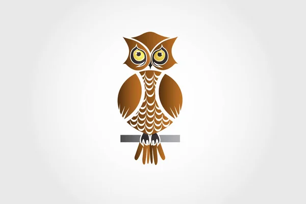 Oiseau Hibou Aux Beaux Yeux Modèle Logo Conception Image Web — Image vectorielle