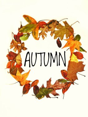 Hoş geldiniz sonbahar çelenkleri daire şeklindeki resim arkaplanındaki doğal renkli yapraklar