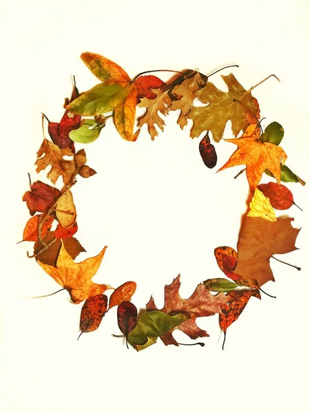 Καλώς Ήρθατε Στεφάνι Φθινόπωρο Φυσικό Πολύχρωμα Φύλλα Σχήμα Κύκλο Εικόνα — Φωτογραφία Αρχείου
