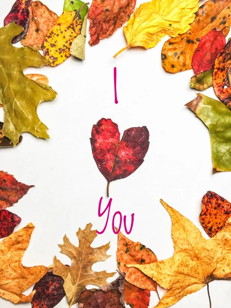 Üdvözöljük Őszi Keret Természetes Színes Levelek Szerelem Szív Alakú Szöveg — Stock Fotó