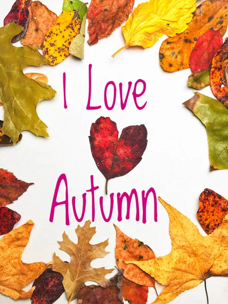 Welcome Autumn Frame Natural Colorful Leaves Love Heart Shape Text — Stock Photo, Image