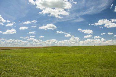 Yeşil çayır ve bulutlar gökyüzünde