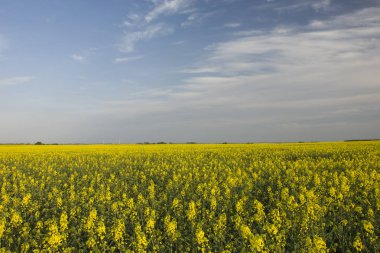 Tecavüz alan ve akşam gökyüzü