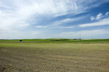Sürülmüş büyük alan, ufuk ve mavi gökyüzünde harcanmış beyaz bulutlar