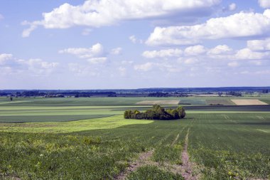 Büyük alanlar, resimleri ve mavi gökyüzü