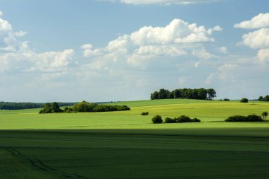 Yeşil alanlar, copses ve bulutlar gökyüzünde