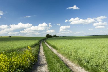 Uzun ülkede yol ile yeşil alanlar