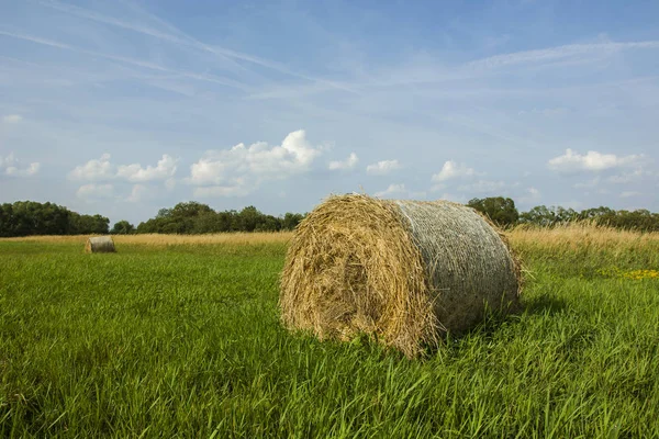 草原の干し草ベール — ストック写真