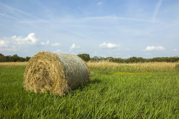 Höbalen Grön Äng — Stockfoto