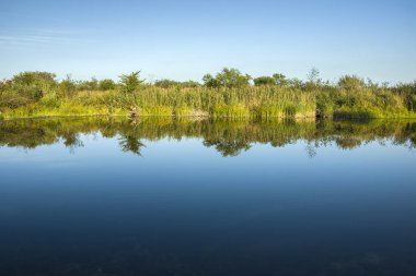Suya yansıyan kıyı hattı