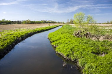 Sahilde küçük bir nehir ve çalılar dönüm