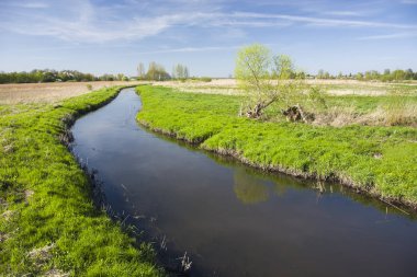 Küçük bir nehir, ot ve çalılar kıyıda dönüm