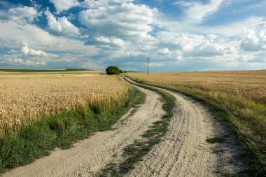 Sandy yol ile alanlar