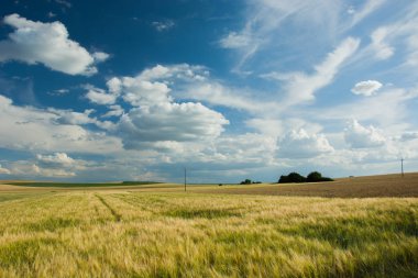 Arpa ve bulutlar gökyüzünde