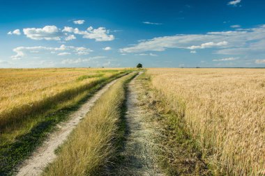 Toprak yol, tahıl alan ve bulutlar gökyüzünde