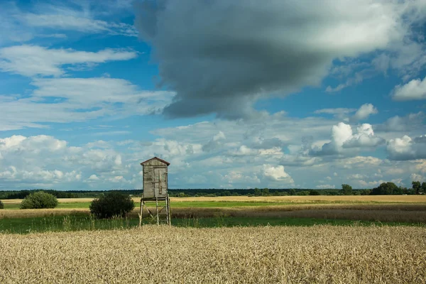 Kanzel Für Die Jagd Wald Horizont Und Weiße Wolken — Stockfoto