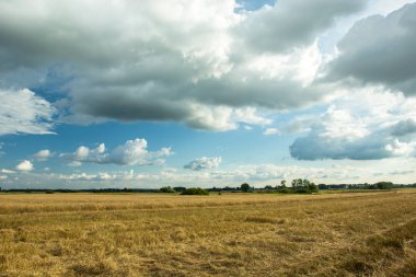 Anız ve bulutlar gökyüzünde