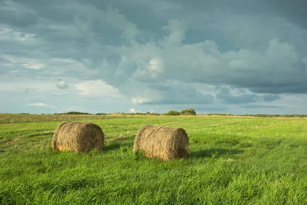 Körök Egy Zöld Rét Felhős Széna Lengyel Országok Hajózási — Stock Fotó