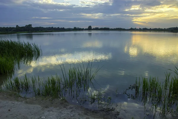 Göl kıyısı sazlık, ufuk ve Güneş bulutların arkasında
