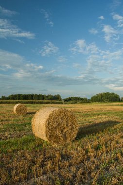 İki daire bir alan, orman ufukta saman ve gün batımından önce gökyüzünde bulutlar