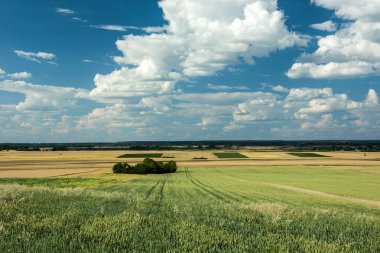 Görünüm alanları ve ormanlar, ufuk ve bulutlar gökyüzünde