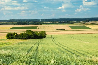 Görünüm alanları ve çalılık, ufuk ve mavi gökyüzünde bulutlar