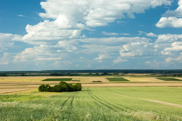 View of fields and forests, horizon and clouds in the blue sky