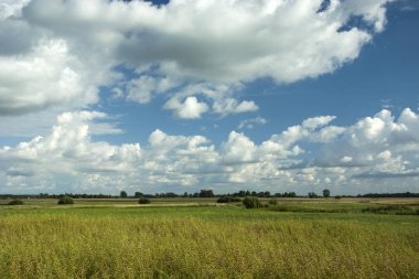 Tecavüz alan, ufuk ve beyaz bulutlar gökyüzünde