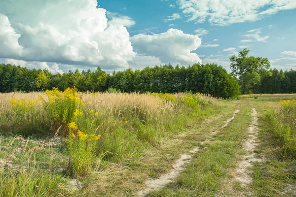 Dirt Road Wild Meadow Forest White Clouds Blue Sky — Stock Photo, Image