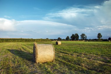 Saman balya alanı, yeşil yapraklı ağaçlar ve akşam bulutlar gökyüzünde