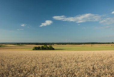 Buğday alan, bahçeleri ve ormanlar ufuk ve bulutlarda