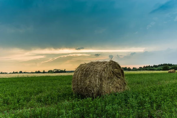 Kerek Hay Bale Egy Zöld Rét Naplementekor — Stock Fotó