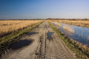 Yağmur toprak yol üzerinde sonra su birikintileri