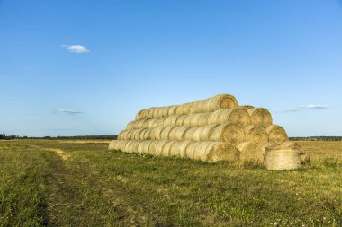 Saman balya yeşil çayır üzerinde kazık