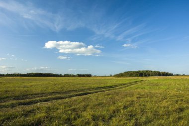 Yol çayır ve gökyüzünde bulut